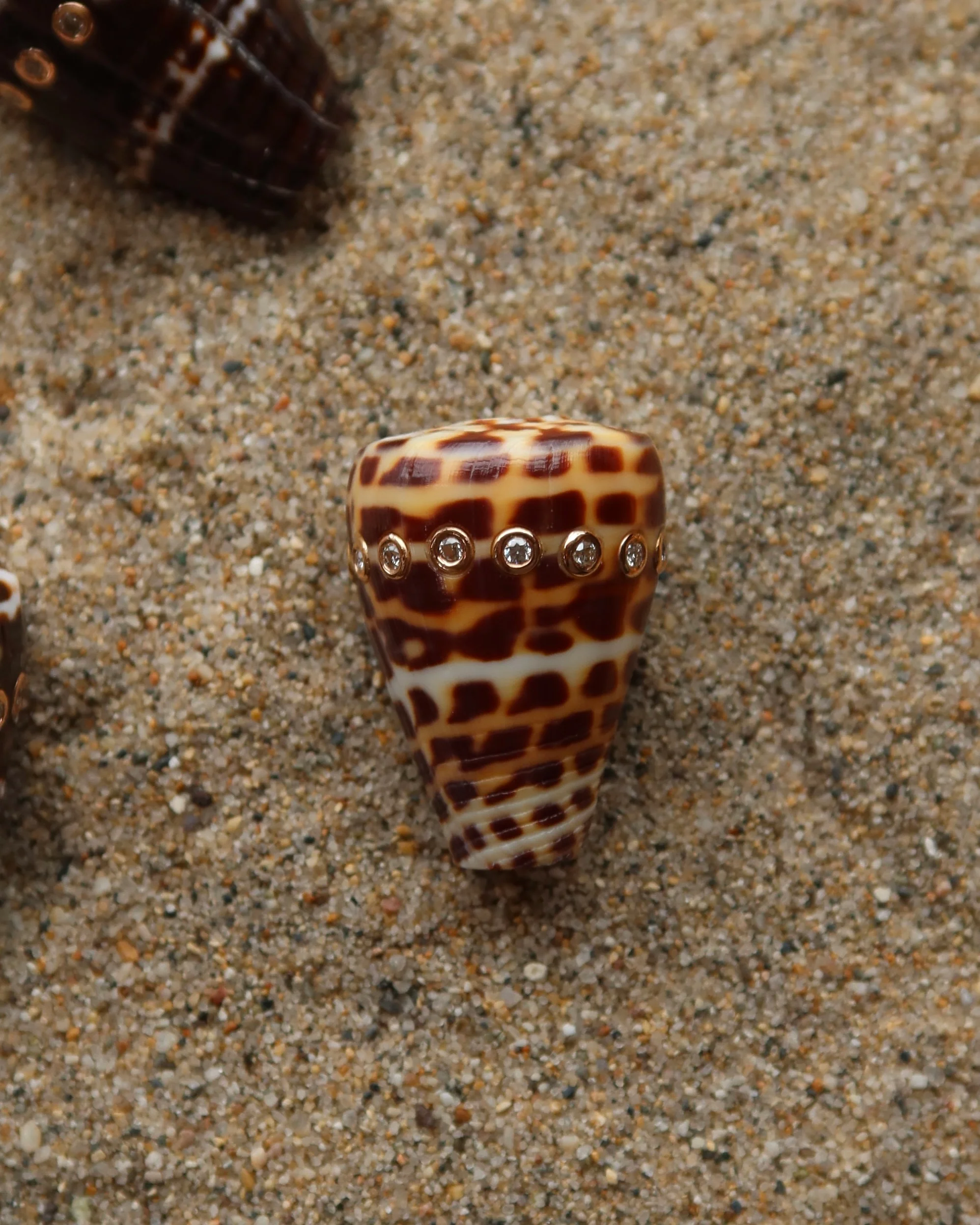 Conus Shell With Brilliant Diamonds - Image 3