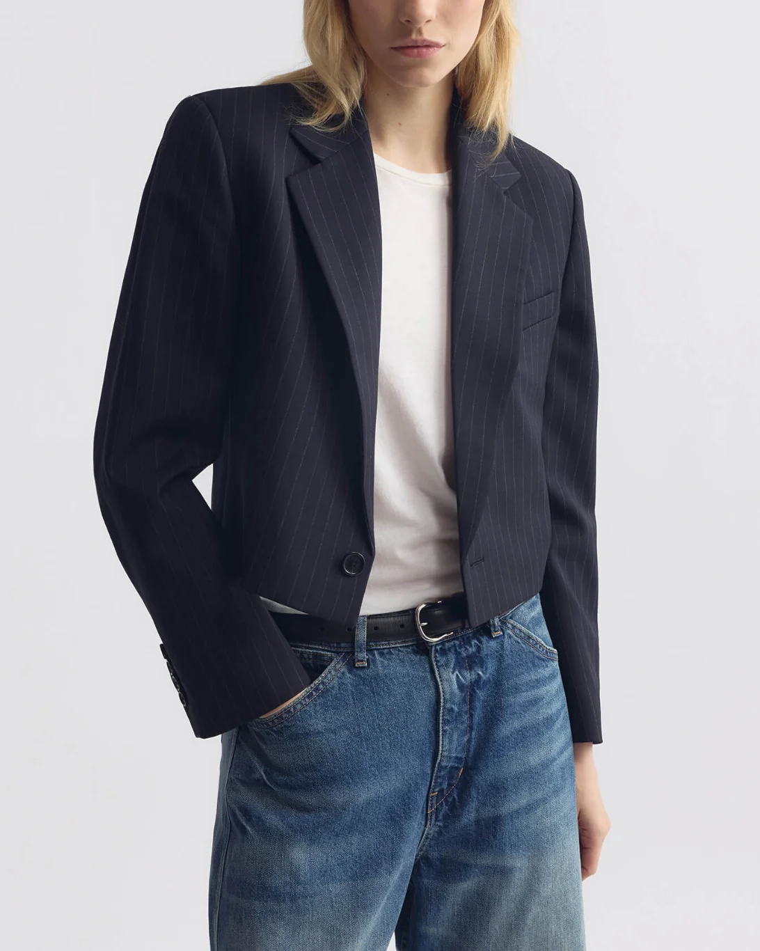 Swan Jacket | Midnight Pinstripes - Image 5